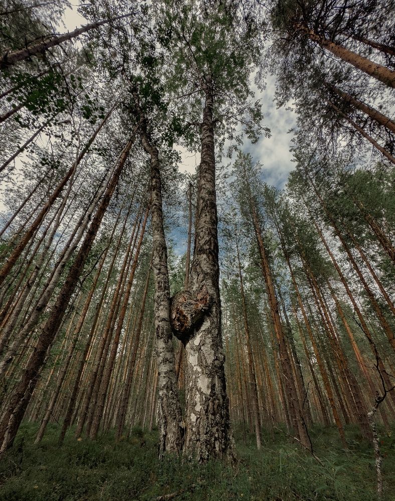 Photograph by Vladislav Trushkov