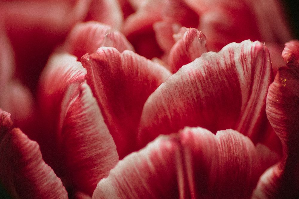 Photograph by Анна Бобкова