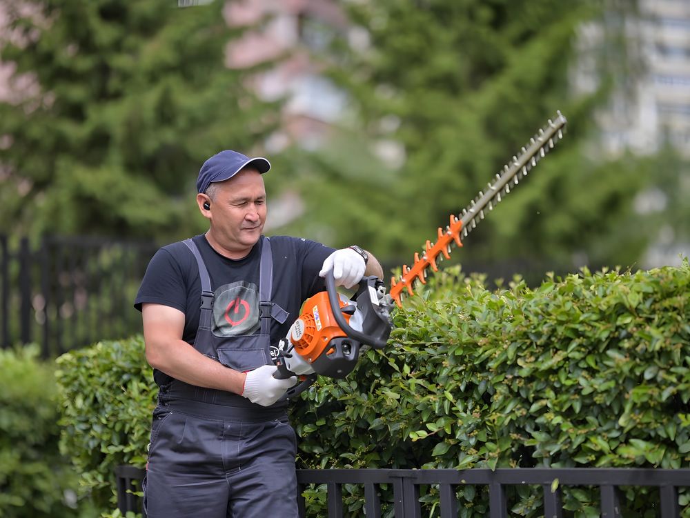 Photograph by Romanov Vyacheslav