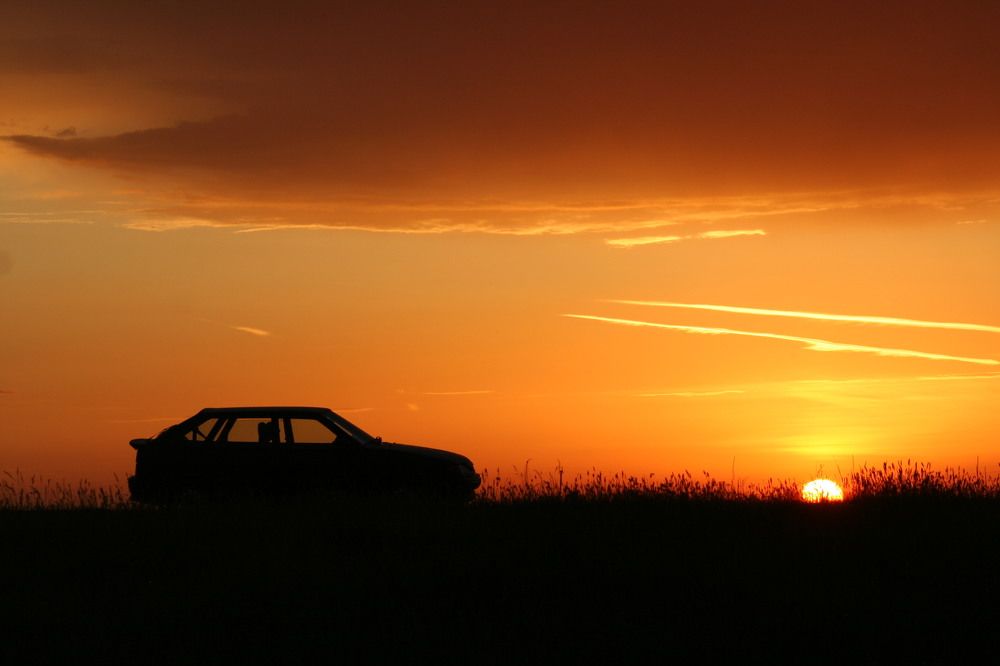 Фотография автора Татьяна Шебаршенко