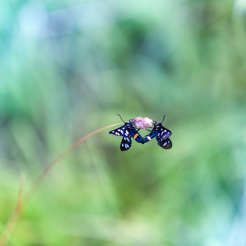 Photograph by Виталий Са