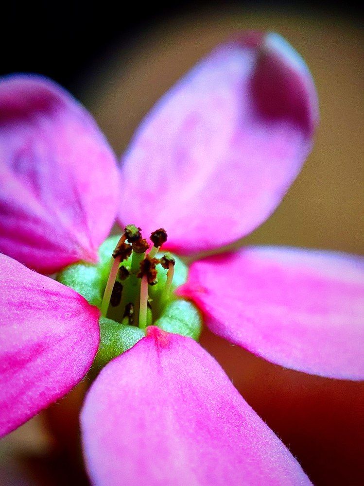 Фотография автора Debdutt Saha