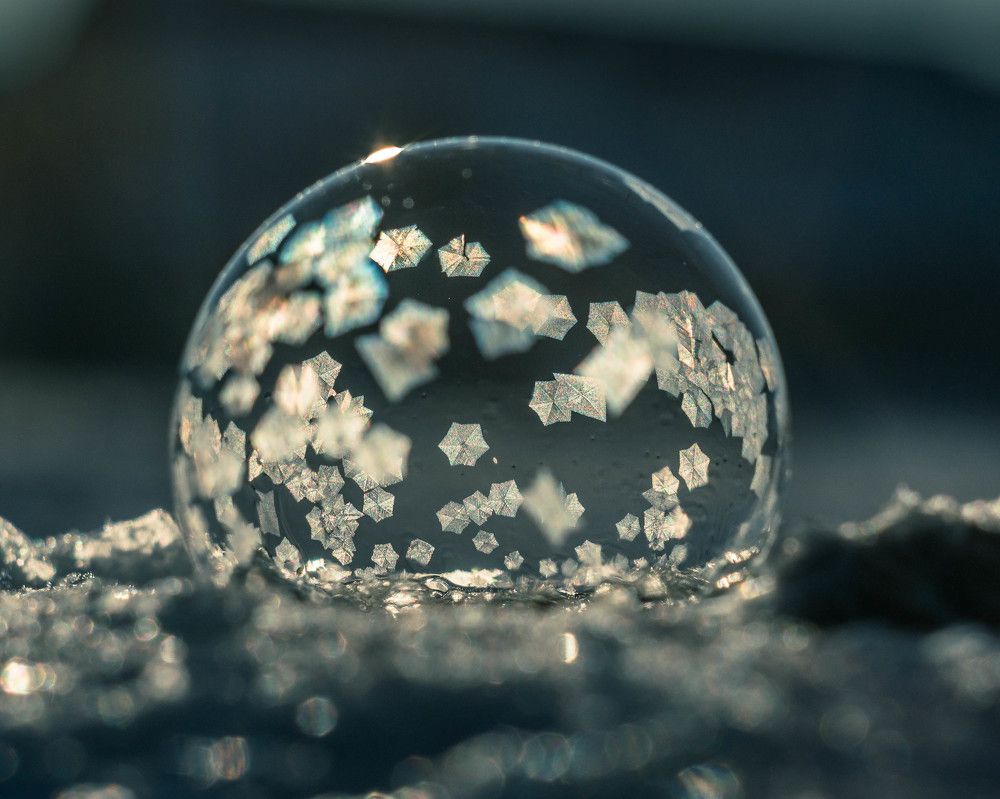 Photograph by Людмила Прибылова