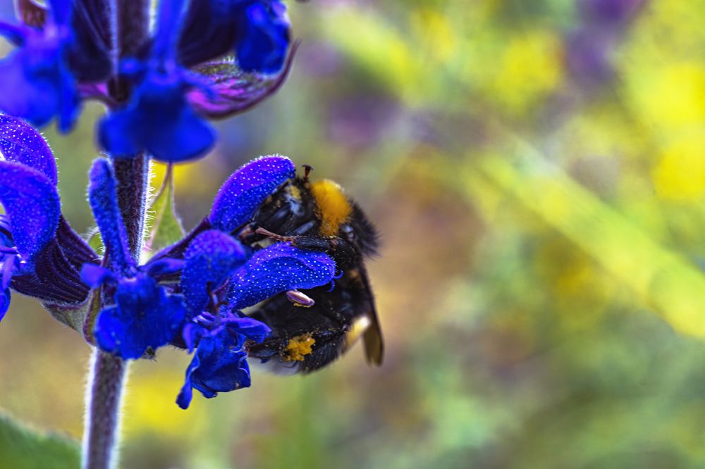 Фотография автора Андрей Жданов