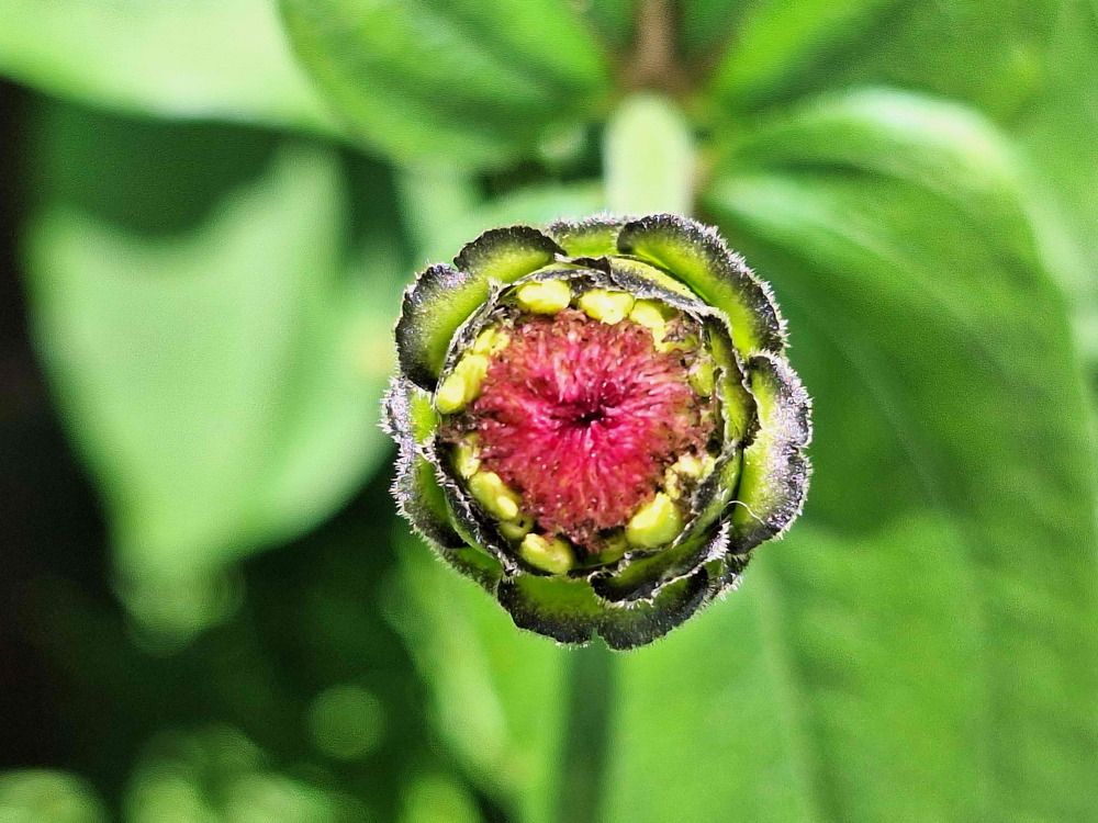 Фотография автора Дмитрий Андреевич