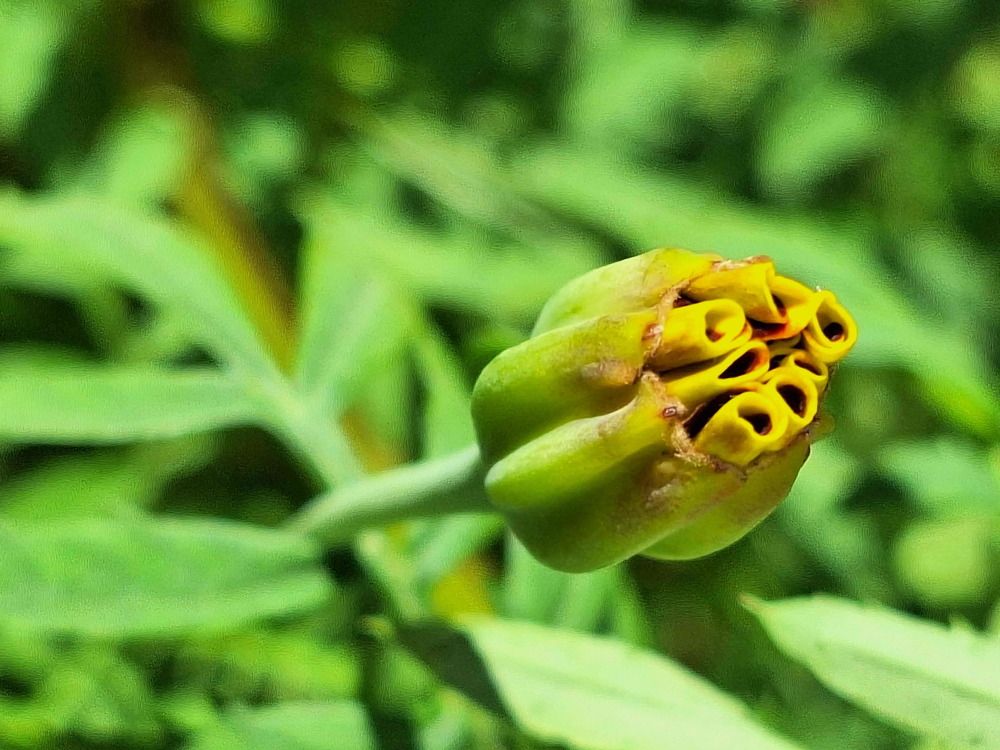 Фотография автора Дмитрий Андреевич