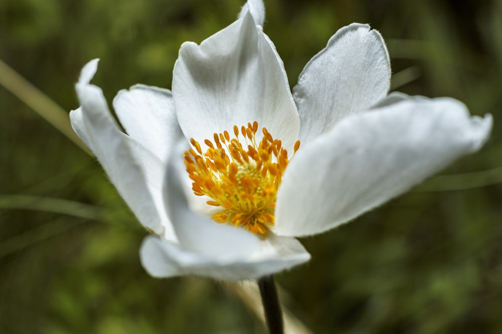 Фотография автора Андрей Жданов