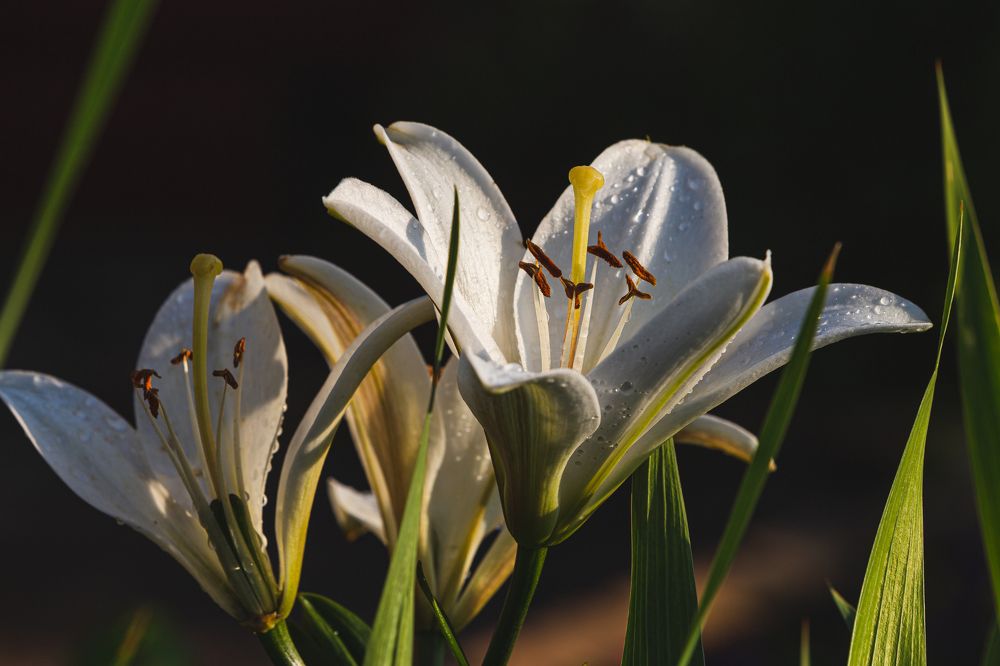 Фотография автора Лукьянов Евгений