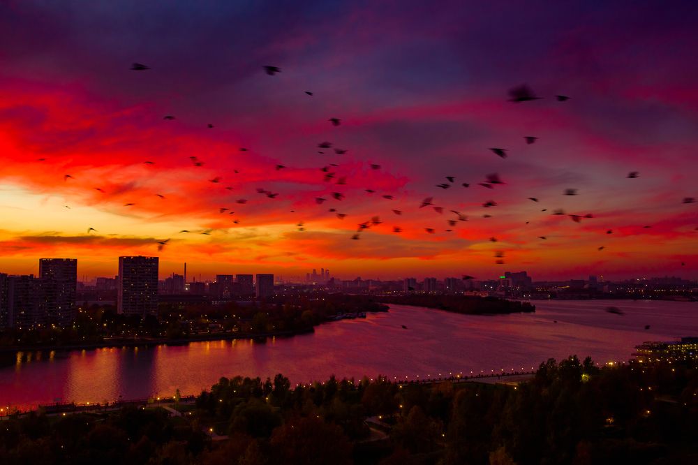 Мотыльки порхающие в огне заката.