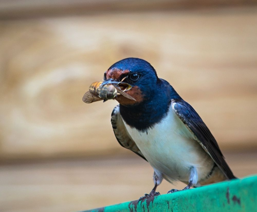 Photograph by Сергей Басов