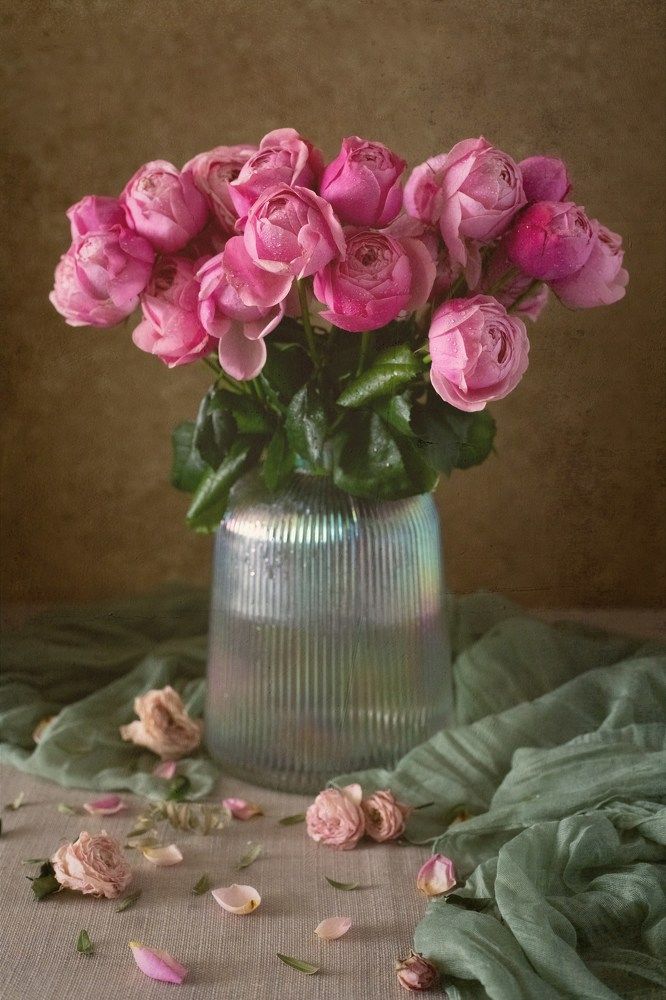 Photograph by Ирина Зиннурова