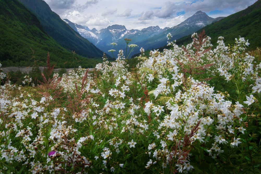 Photograph by Павел Абакумов