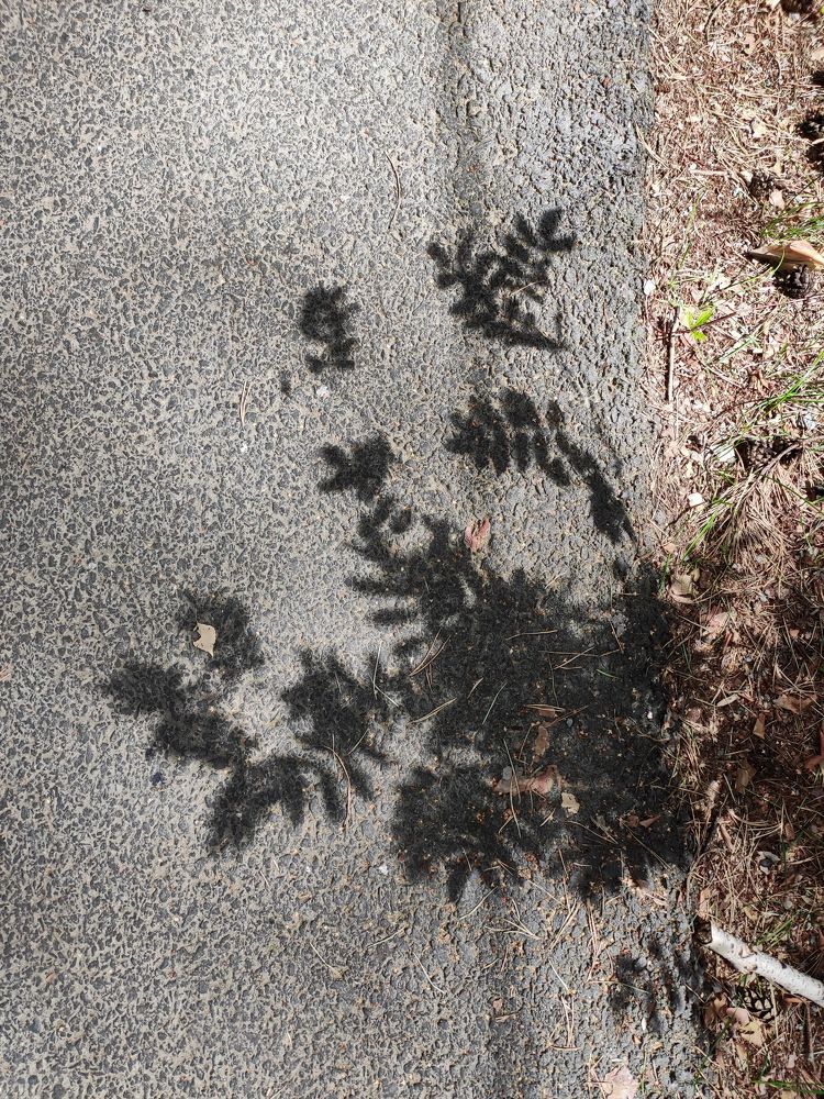 Photograph by Виталий Черепенькин