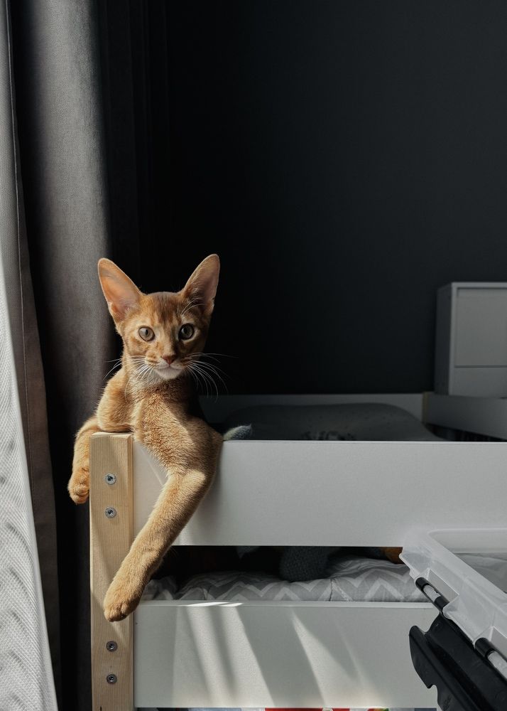 Photograph by Анна