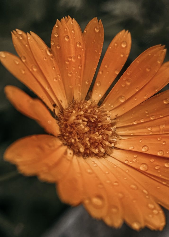 Photograph by Анна