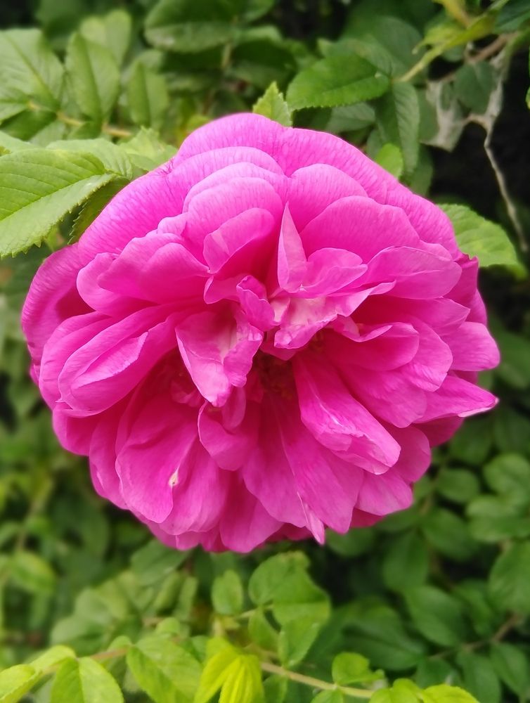 Photograph by Екатерина Чеснокова