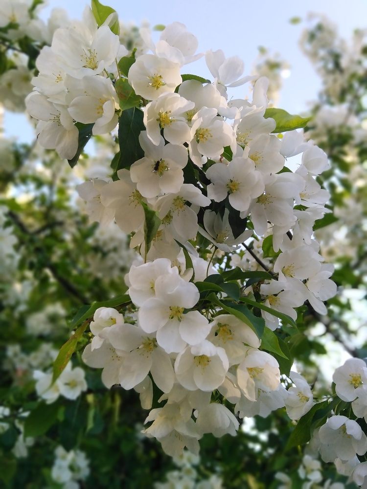 Photograph by Екатерина Чеснокова