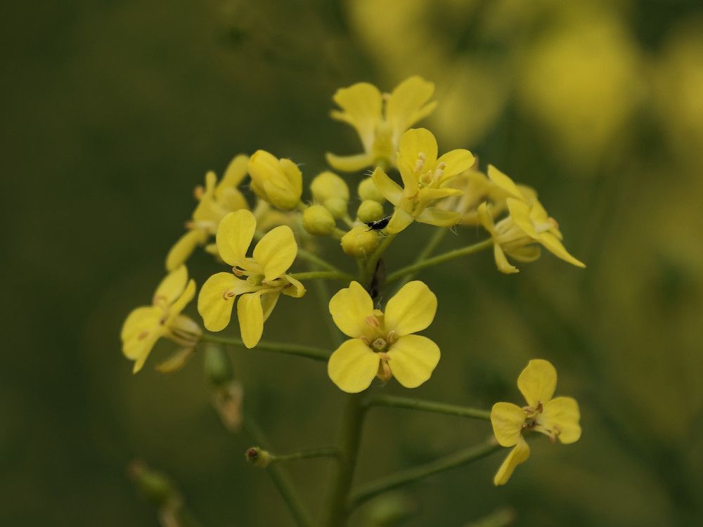 Photograph by Андрей Панин