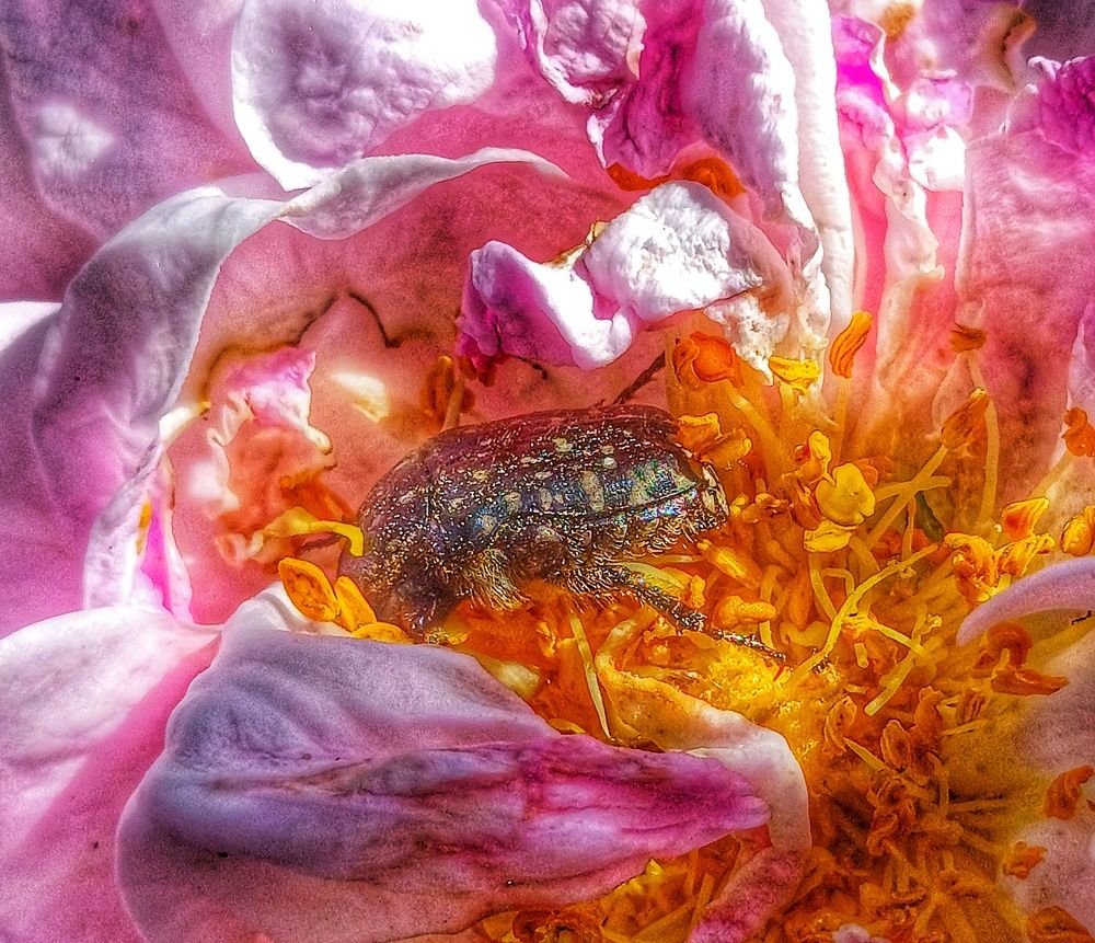 Фотография автора Valerya Vasileva