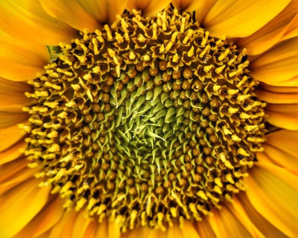 Фотография автора Valerya Vasileva