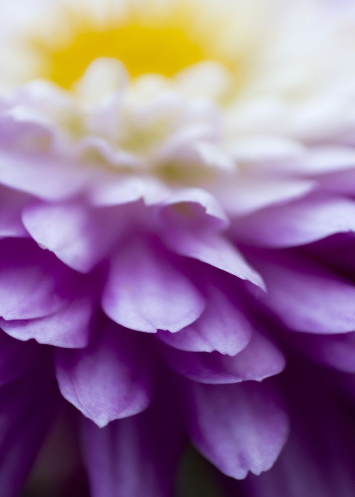 Photograph by Amin Ahanpoushi