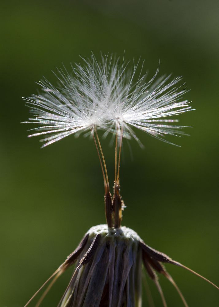 Photograph by Amin Ahanpoushi