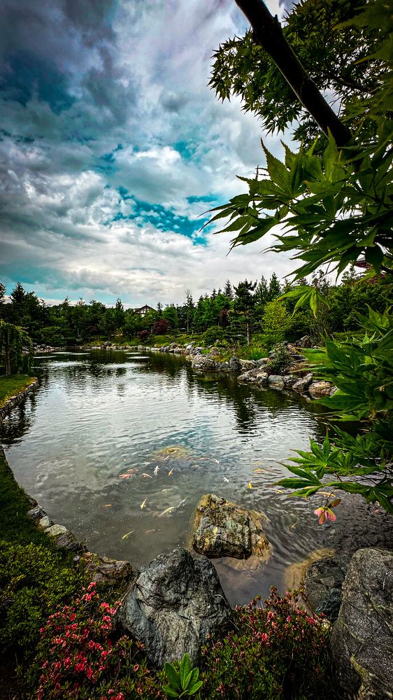 Photograph by Мария Каммерт