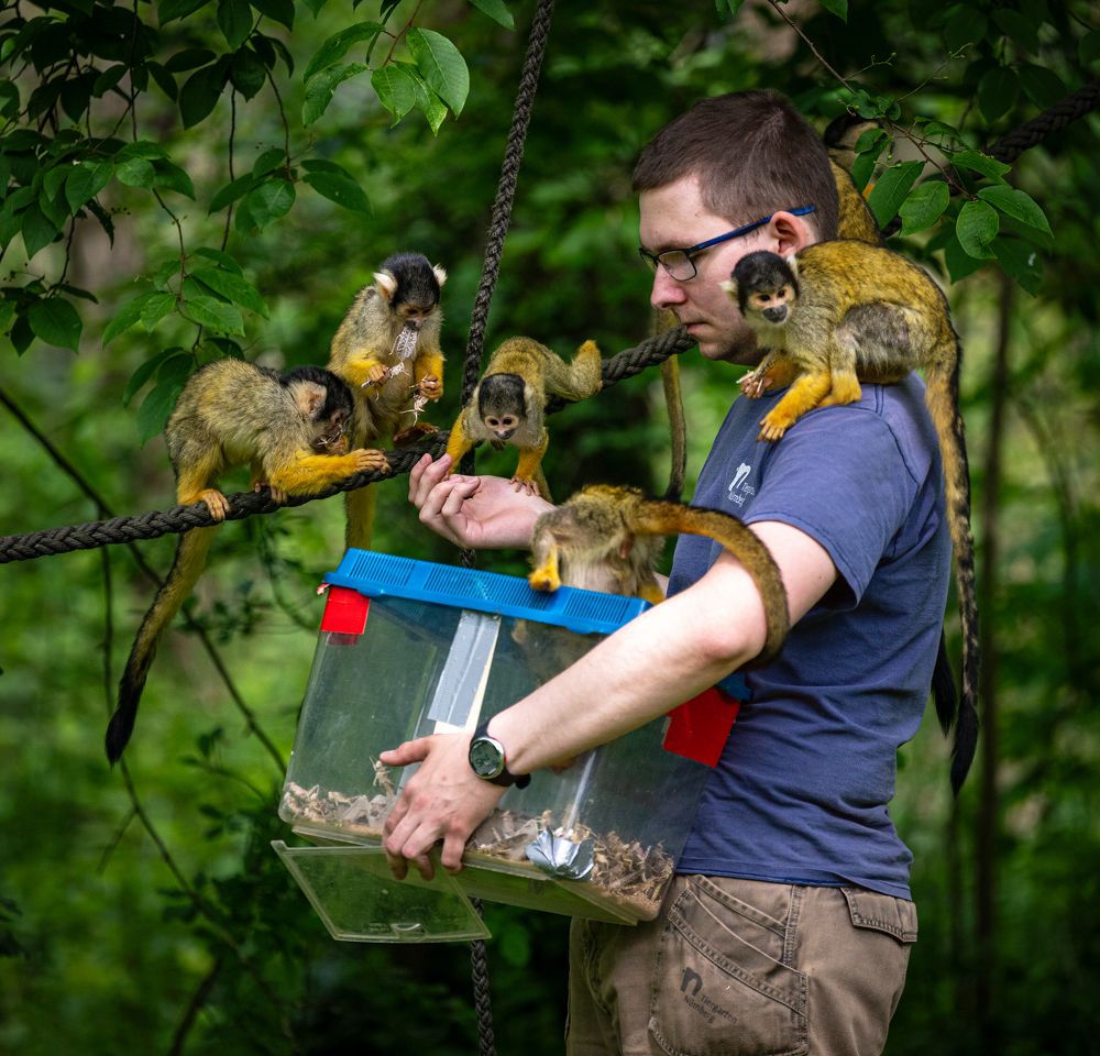 Photograph by Zavaydin Zavaydinov