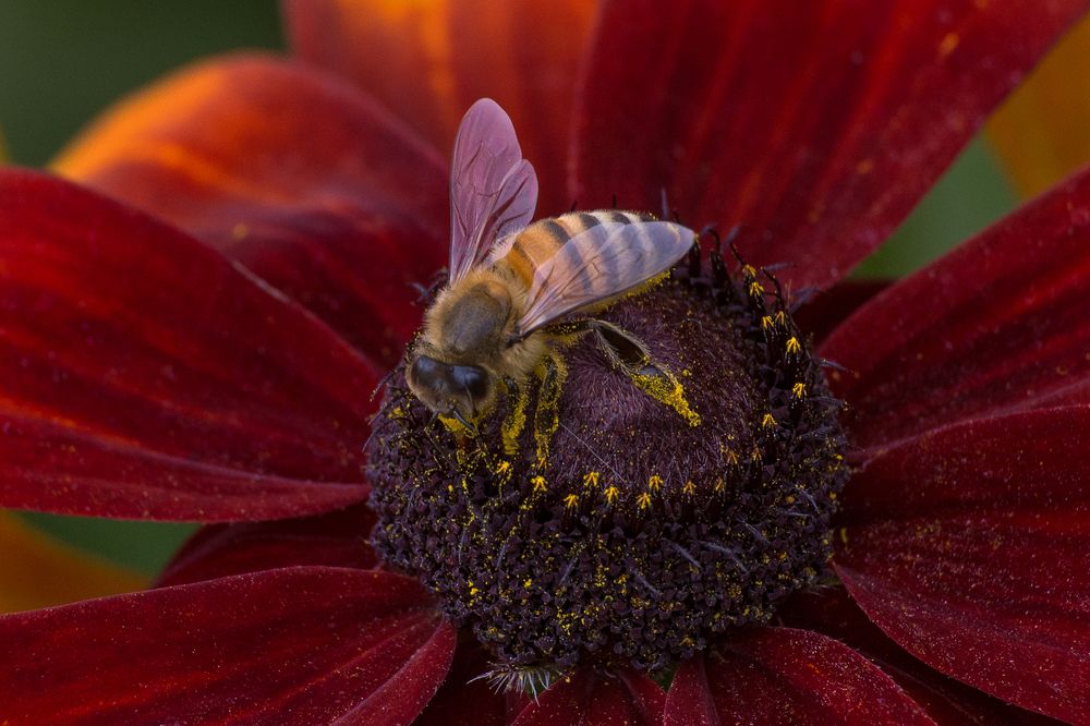 Photograph by Сергей Алексеев