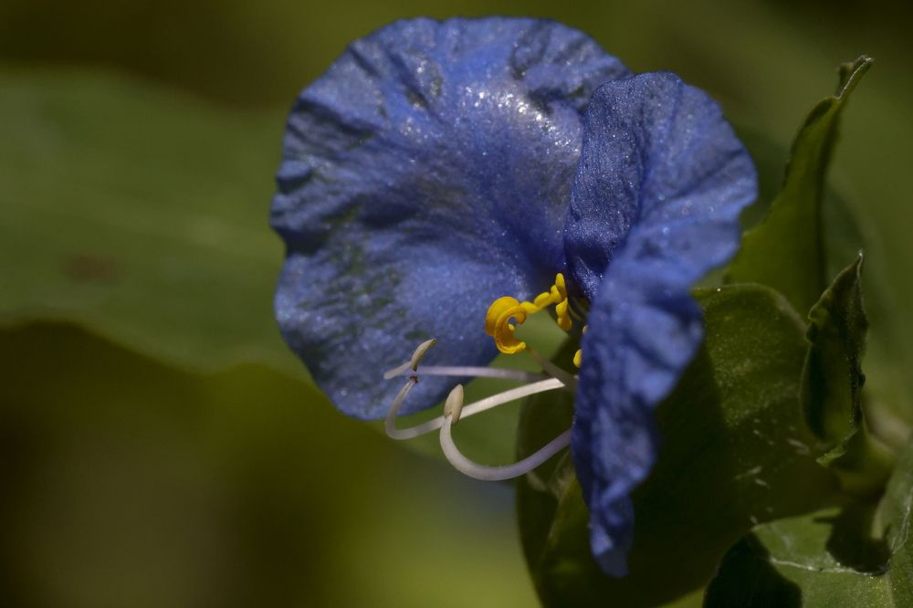 Photograph by Борис Лишневский