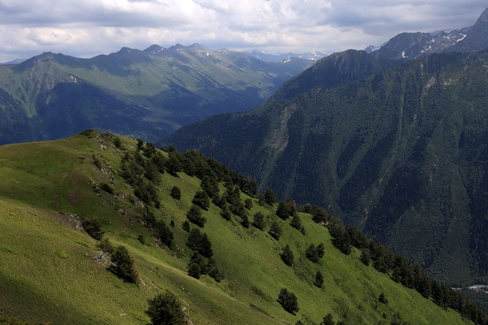 Фотография автора Колосова Елена