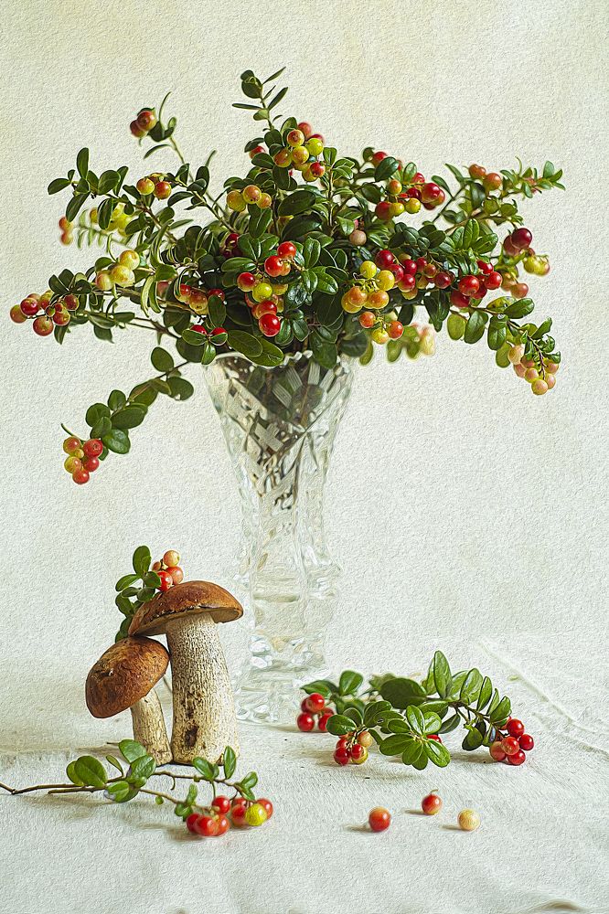 Фотография автора Елена Разина