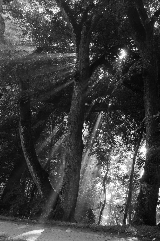 Фотография автора Антип