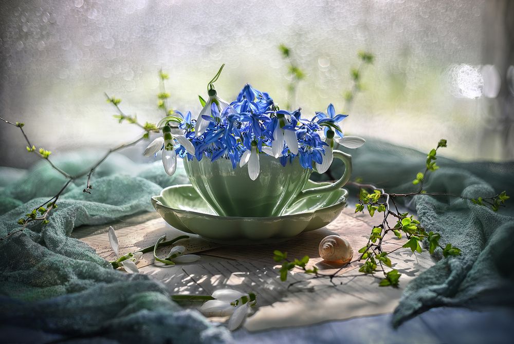 Photograph by S. Dana