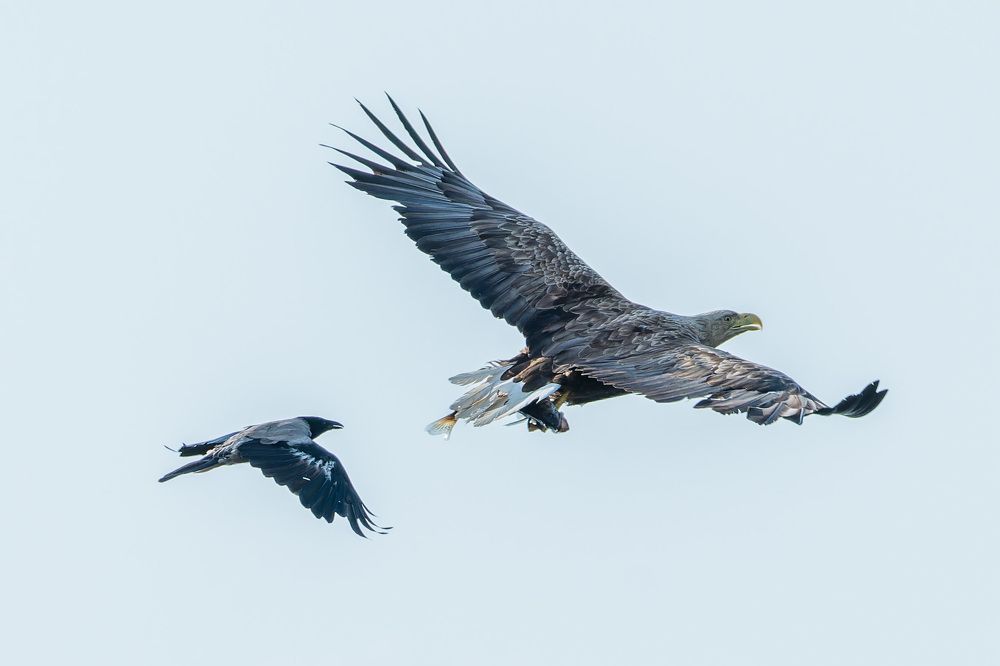 Photograph by Аркадий Старочкин