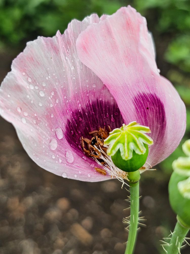 Фотография автора Ольга Шишук