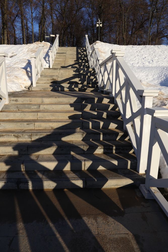 Фотография автора Колосова Елена