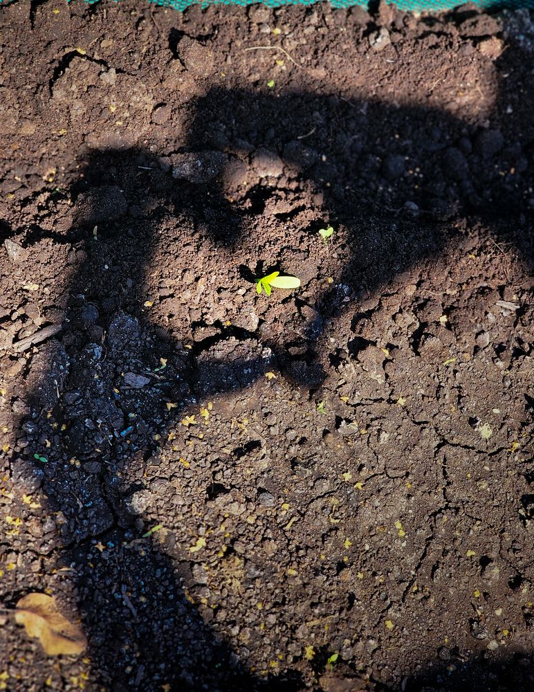 Фотография автора Ольга Шишук