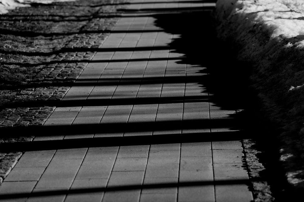 Фотография автора Колосова Елена