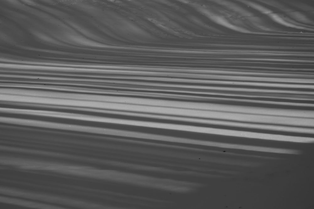 Фотография автора Колосова Елена