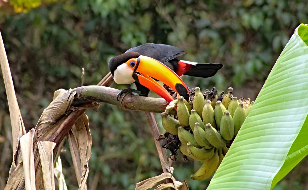 Фотография автора Márcia Cristina Machado