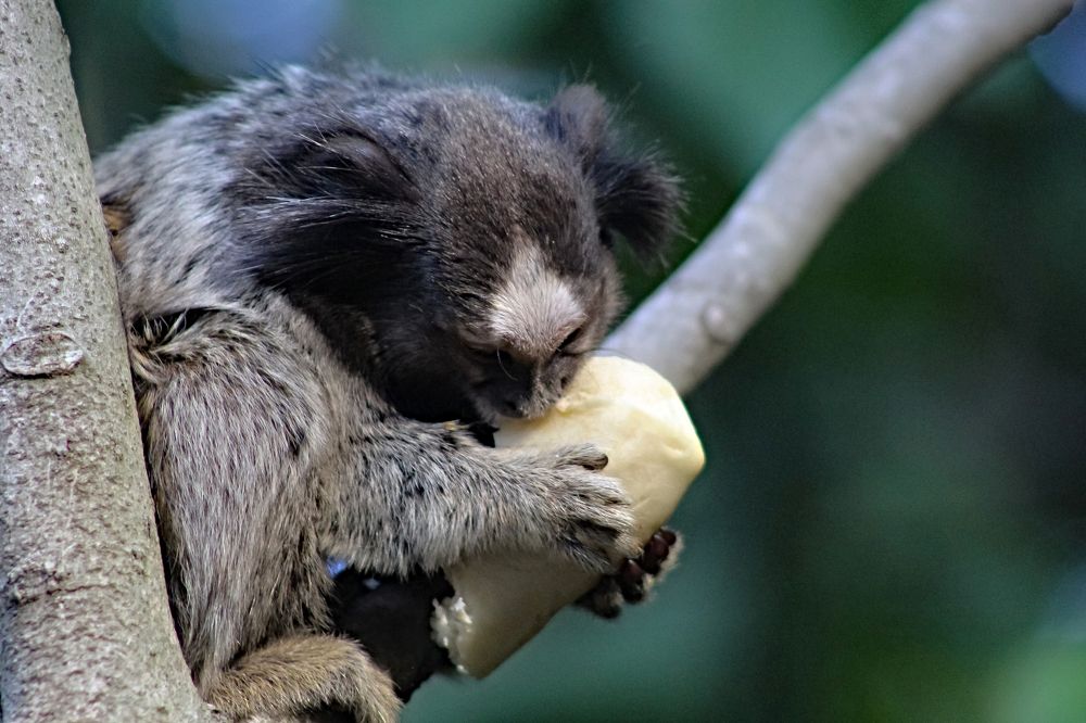 Фотография автора Márcia Cristina Machado