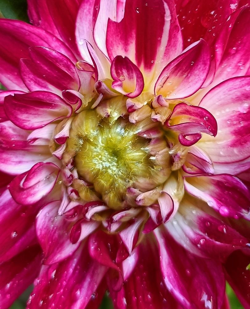 Фотография автора Татьяна Лука