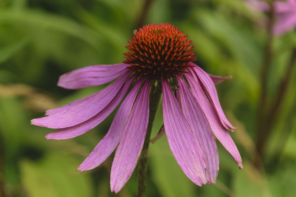 Photograph by Лилия Кондратьева