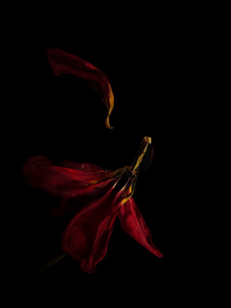 Фотография автора Ольга Шишук