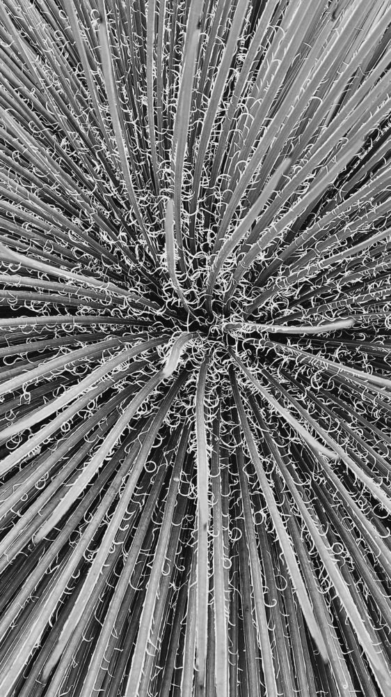 Photograph by Dâmaris Ferrão