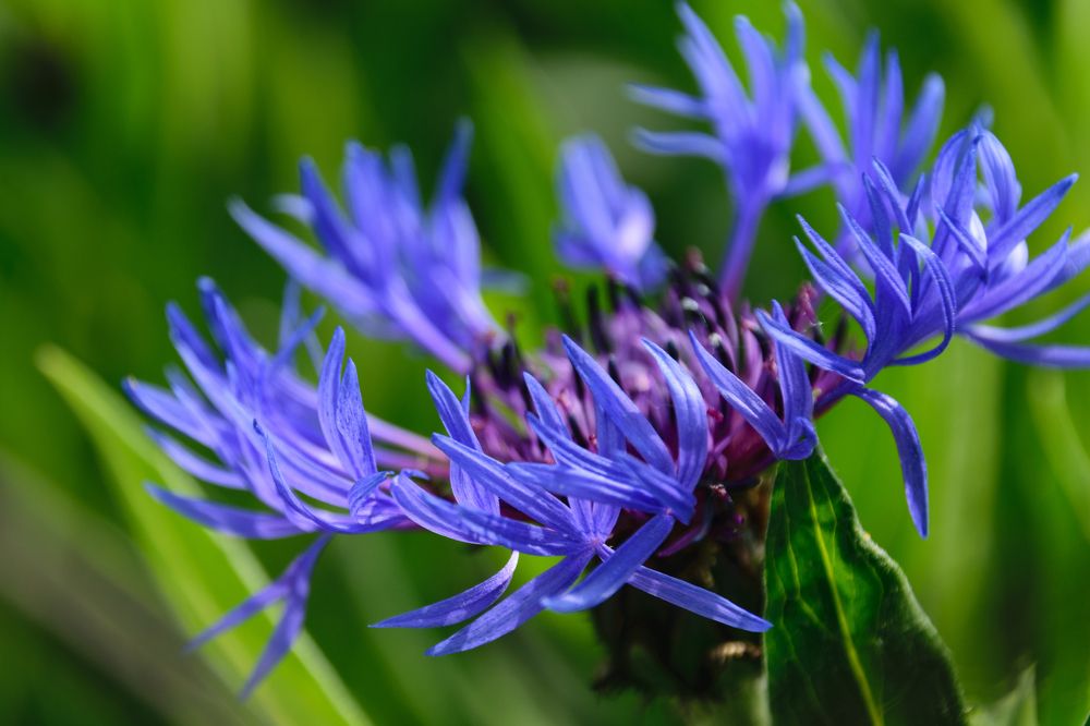 Photograph by Лилия Кондратьева