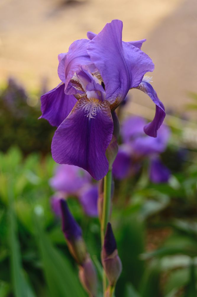 Photograph by Лилия Кондратьева