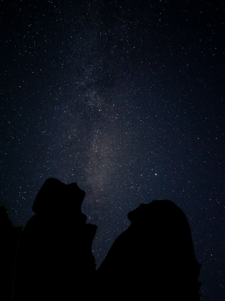 Фотография автора Ольга Шишук