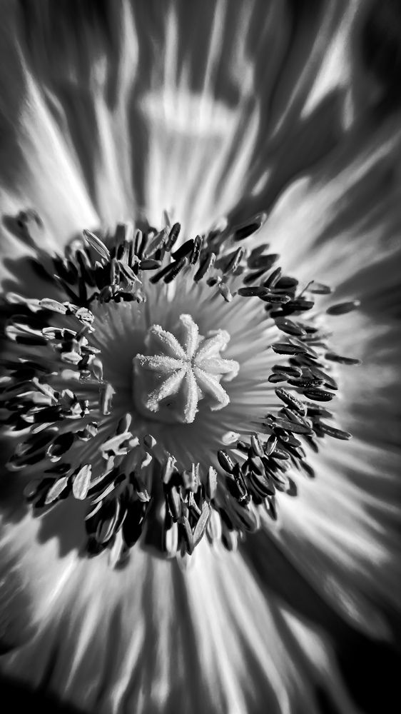 Photograph by Anna Cherkasova